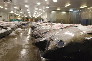 Us Blocks Seafood From Fiji Ship Accused Of Enslaving Crew