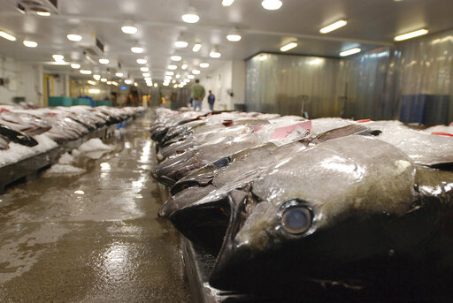 Us Blocks Seafood From Fiji Ship Accused Of Enslaving Crew