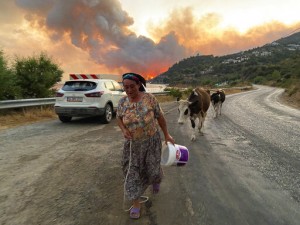 In Heat Emergency, Southern Europe Scrambles For Resources
