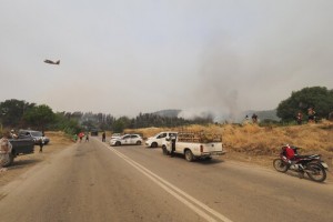 Forest Fires Rage In Greece; Blaze North Of Athens Rekindles