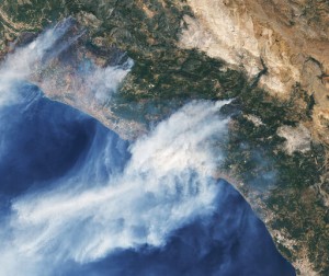 Turkey’s Burned Forests Now An Environmental Battleground