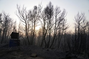 Firefighting Planes Resume Flights Over Fire North Of Athens
