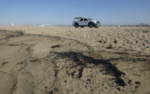 Major Oil Spill Fouls Beaches, Kills Wildlife Off Southern California Coast