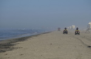 Major Oil Spill Fouls Beaches, Kills Wildlife Off Southern California Coast