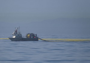 Major Oil Spill Fouls Beaches, Kills Wildlife Off Southern California Coast