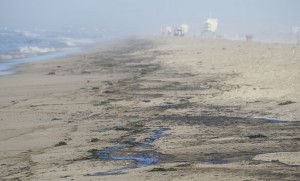 Major Oil Spill Fouls Beaches, Kills Wildlife Off Southern California Coast