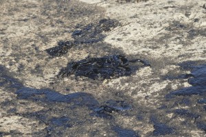 Major Oil Spill Fouls Beaches, Kills Wildlife Off Southern California Coast