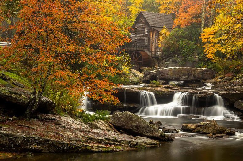 Fall Image 4