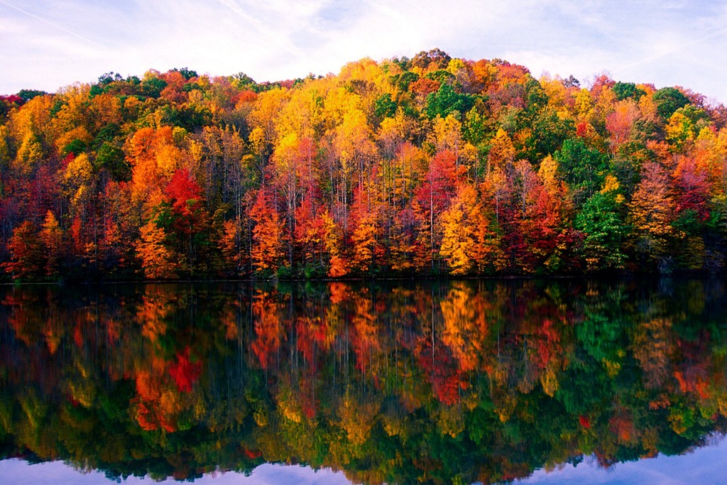 Fall Image 5 Firefox
