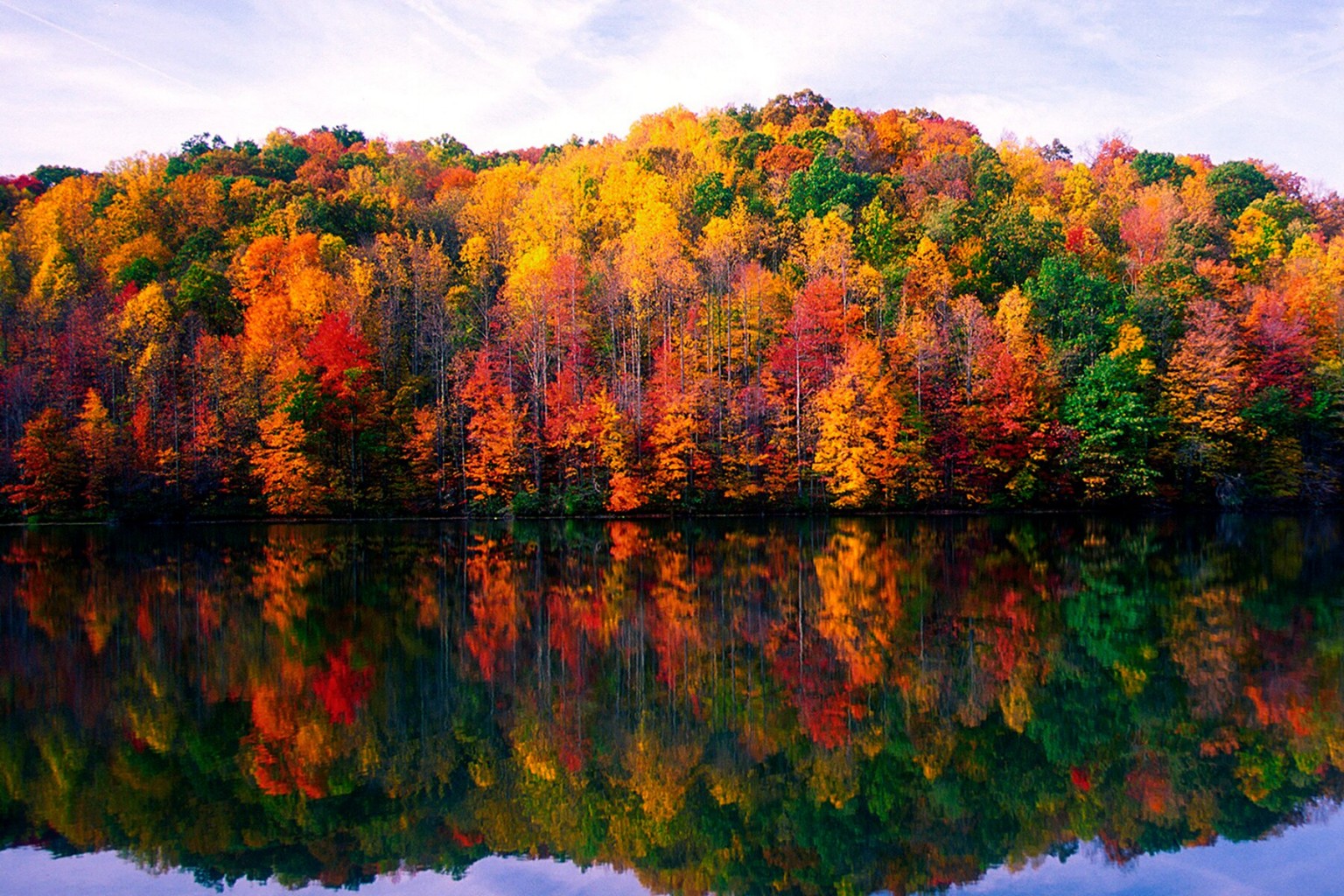 Fall Image 5 Firefox