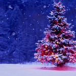 Winter Pic 7