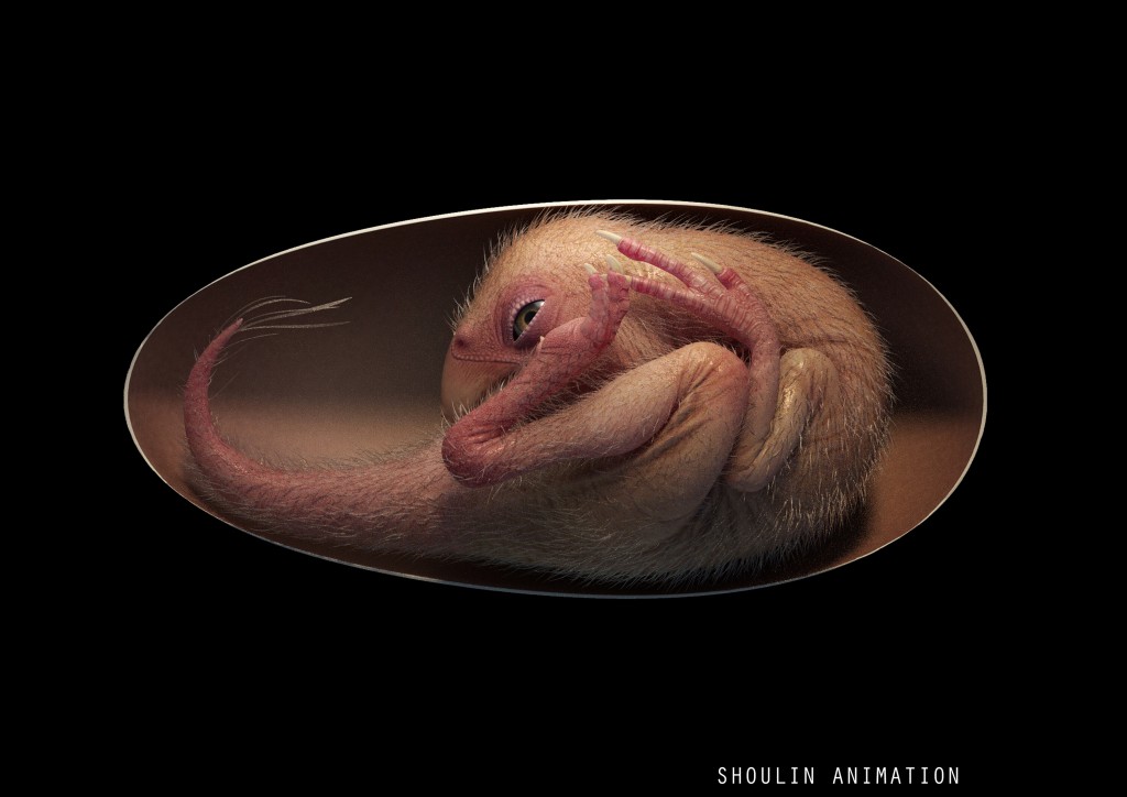 Perfectly Preserved Baby Dinosaur Discovered Curled Up Inside Its Egg
