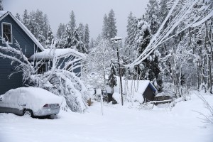 The Nearly 17 Feet Of Snow In California’s Sierra Nevada Is Crushing Records. It’s Still Not Enough