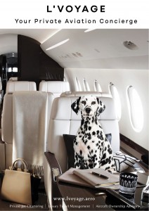 Why Animal Owners In Hong Kong Are Hiring Private Planes For Their Pets