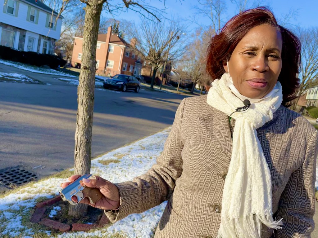 This Grandmother Has Overseen Dozens Of Elections In Her City. And After 2020, She Carries A Gun