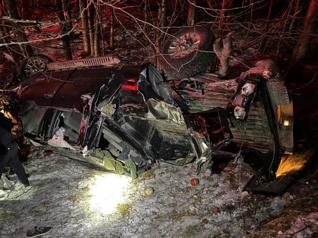 ‘real Life Lassie’: Dog Leads New Hampshire Police To Her Injured Owner Following Crash