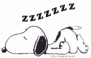 Snoopy Sleeping