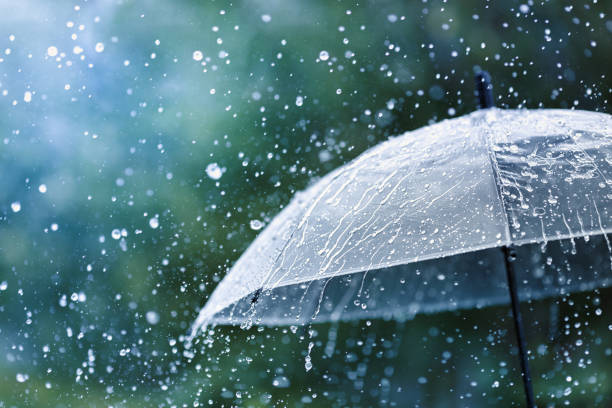 Alt Text - Rainy Days